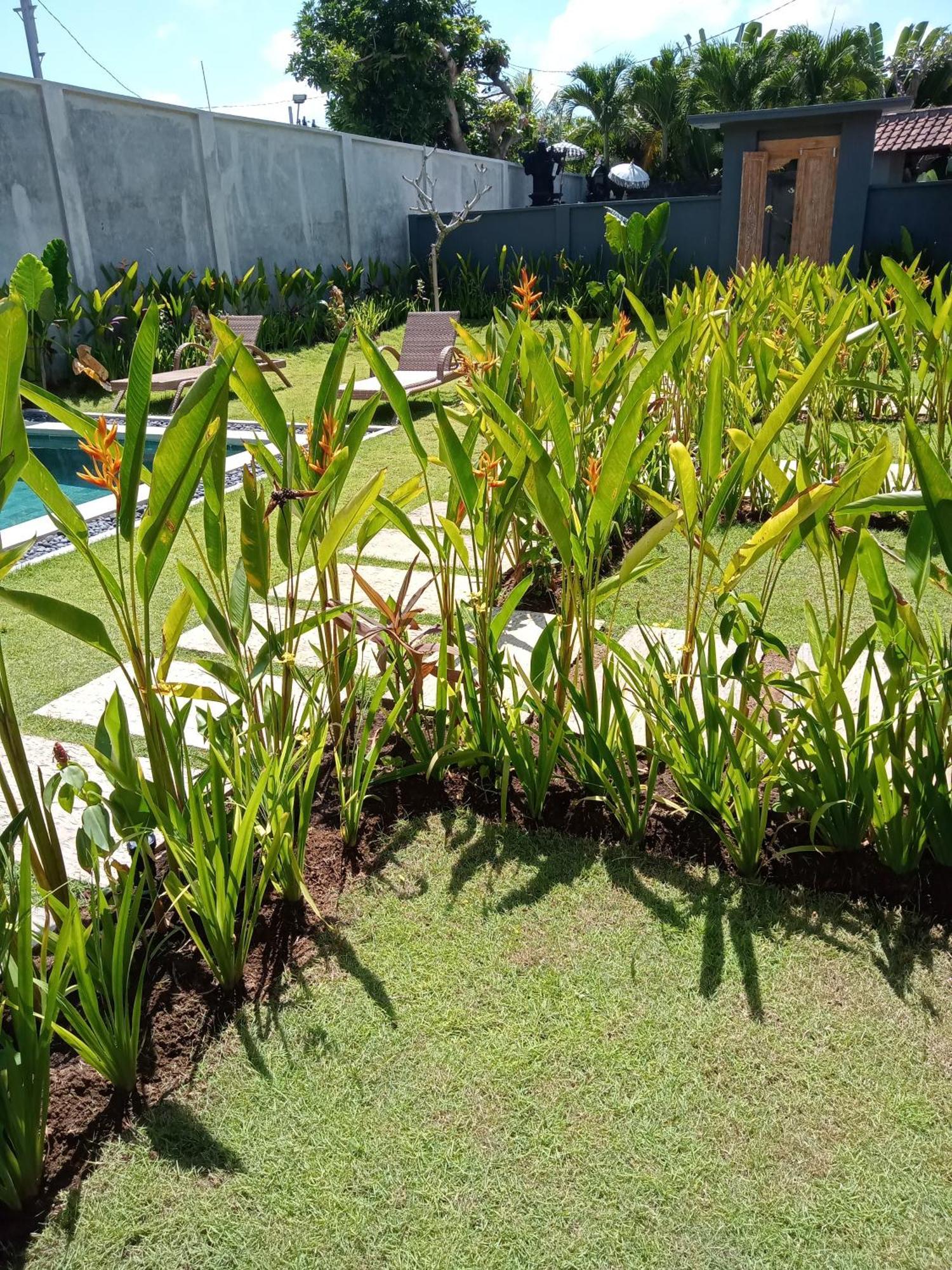 Parama Homestay Balangan Uluwatu  Exterior photo